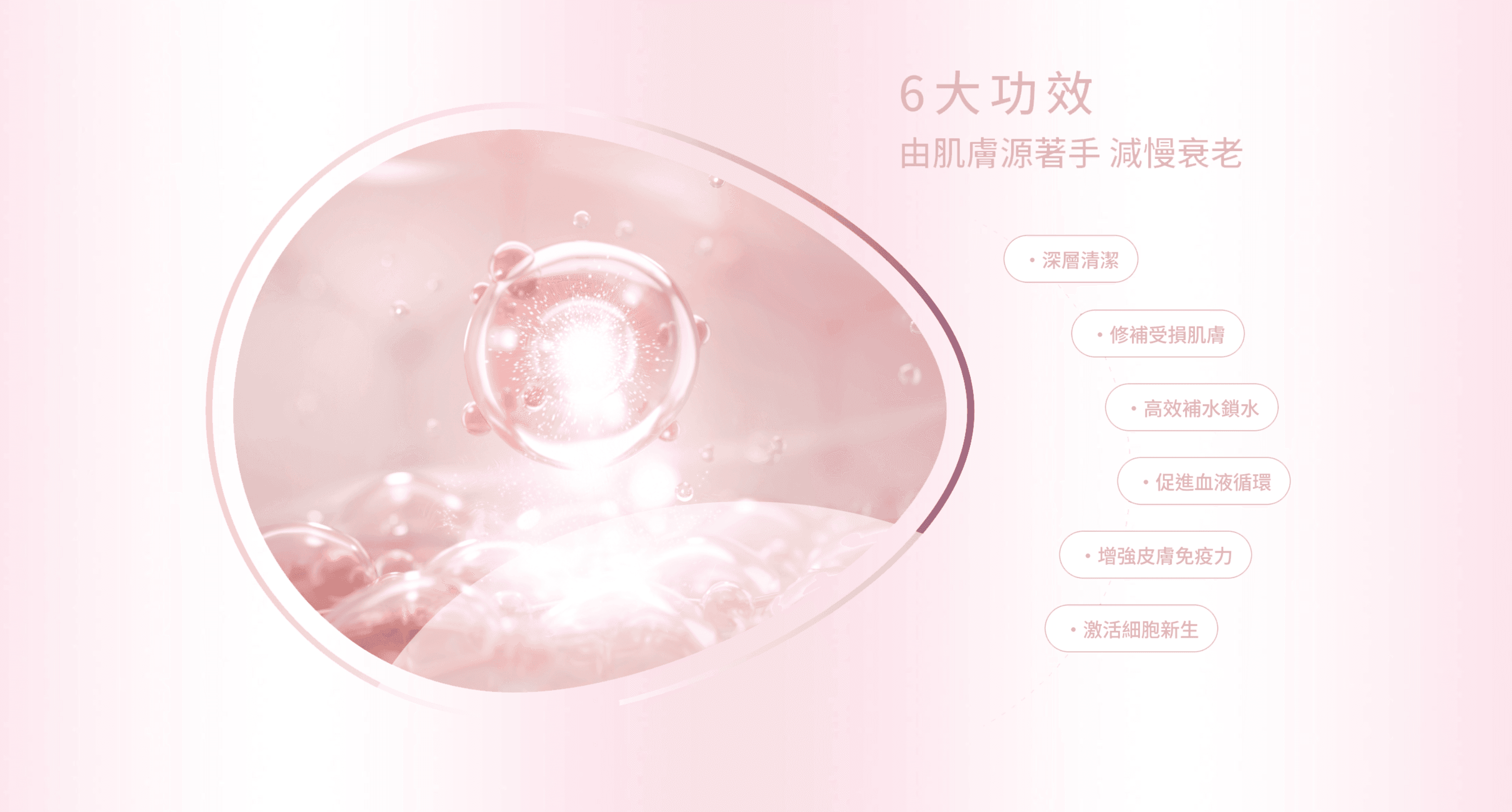 【全港首創】- Cell Master 360° 智能細胞管理三步曲